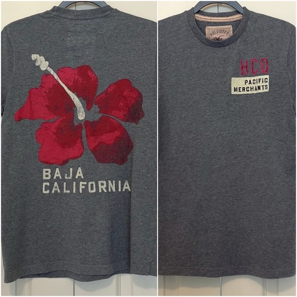 Hollister M T-Shirt - Picture 1 of 6